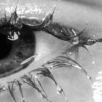 yeux
